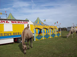 circus renz berlin kameel tent 2015
